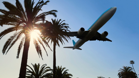 Travel Agent Directory